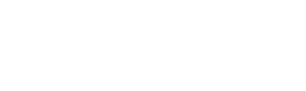 Digital Skill Academy